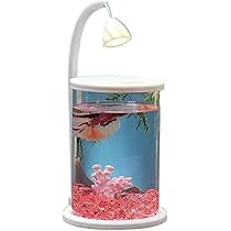 熱帯魚飼育関連　水槽、フィルター、濾過材など断捨離します。新品＋美品多数 楽天市場】Yjhyuxi 水槽 セット 小型 アクアリウム【インボイス